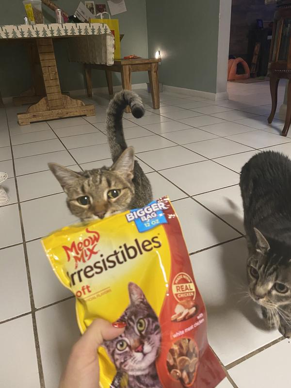 She can’t wait for a treat!!