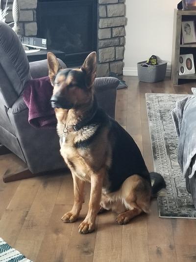 Handsome boy
