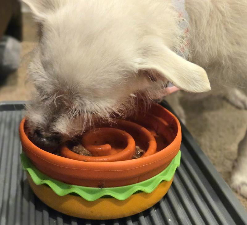 Great with wet food!