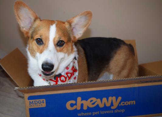 Always in the boxes!