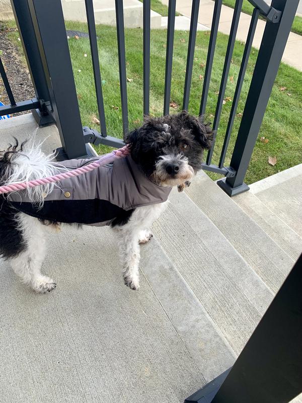 Looking handsome as we started our walk!