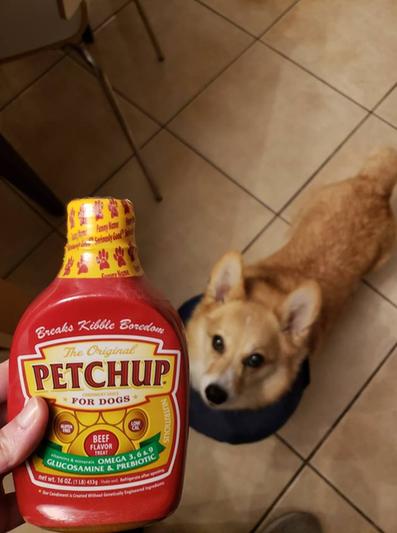 Petchup for outlet dogs