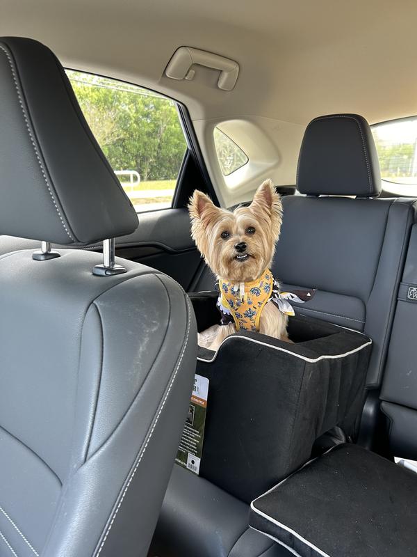 PET GEAR Medium Car Booster, Black