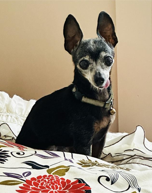 I love my Mommy and Chewy!