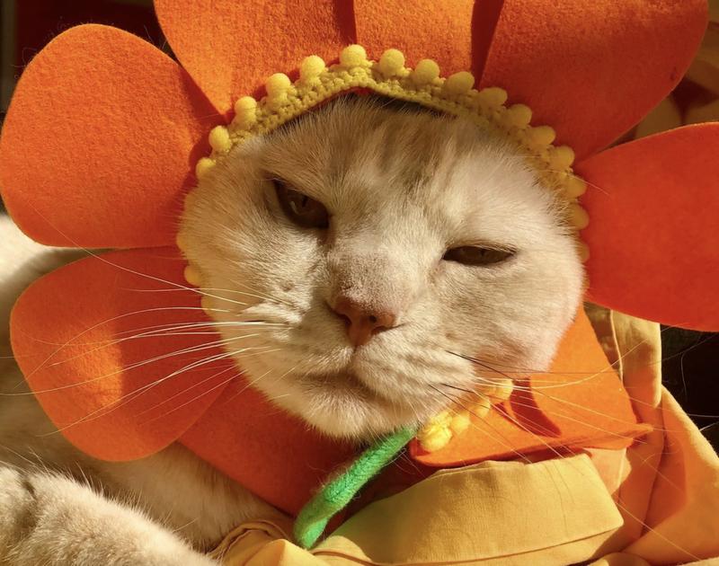 yes, she's cute--especially when she's not scabby from allergies