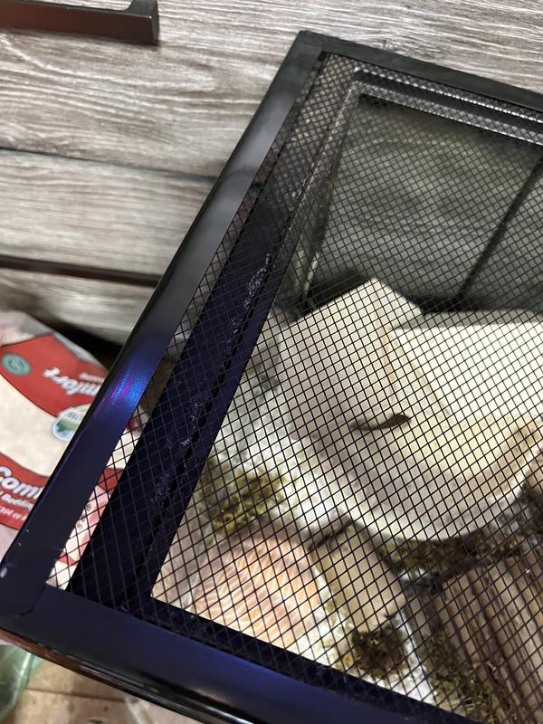 Fluker's Metal Reptile Terrarium Screen Cover