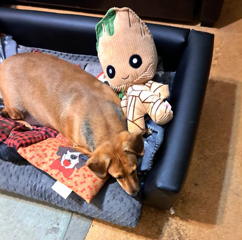 Baby groot hot sale dog toy