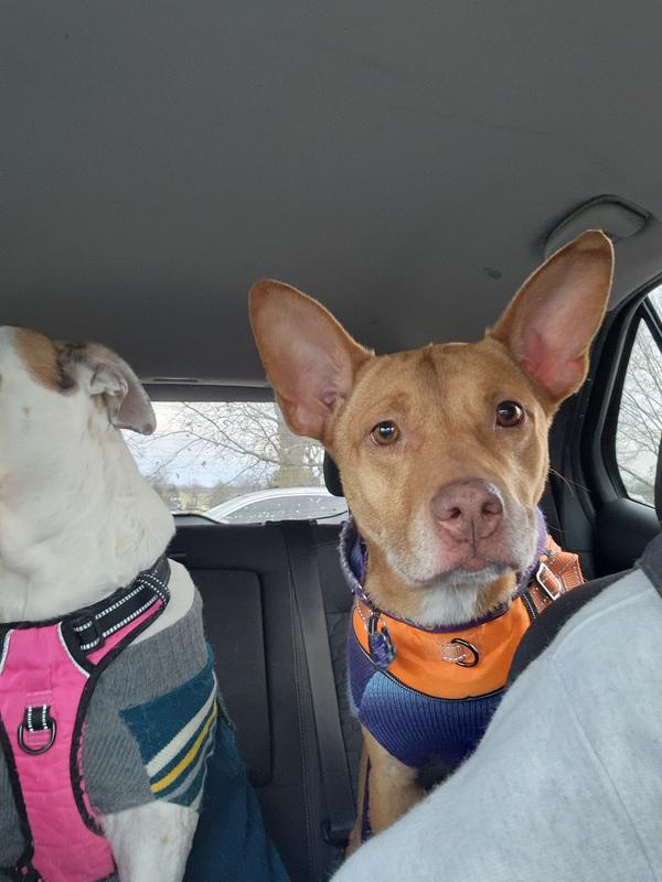 They can't wait to get home and have a Zukes