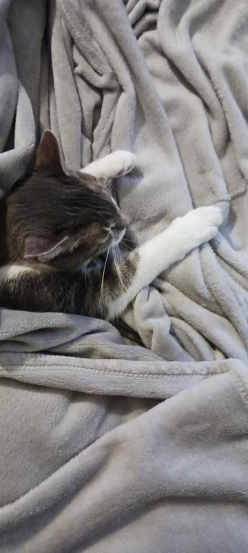 Asleep and wrapped up.