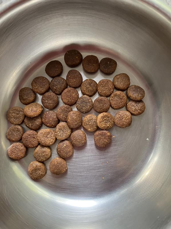 Good kibble size.