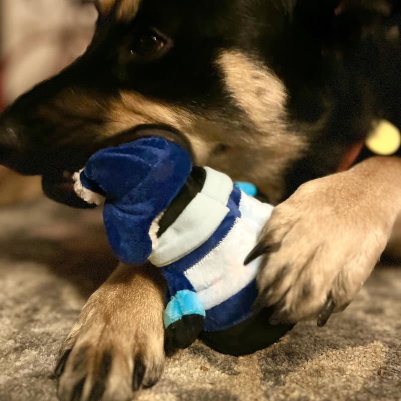 Pet Product Review: The Groovy Dog Toys from One Leg Up Pet
