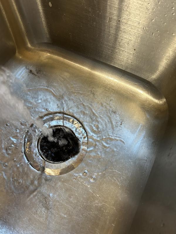 The amount of hair this little 18lb guy shed during his bath