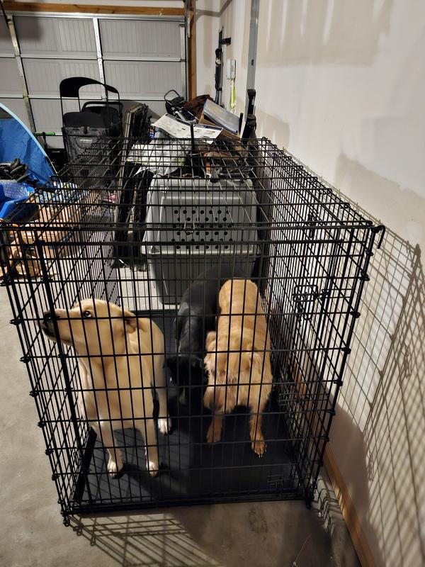 Frisco xxl dog crate assembly best sale