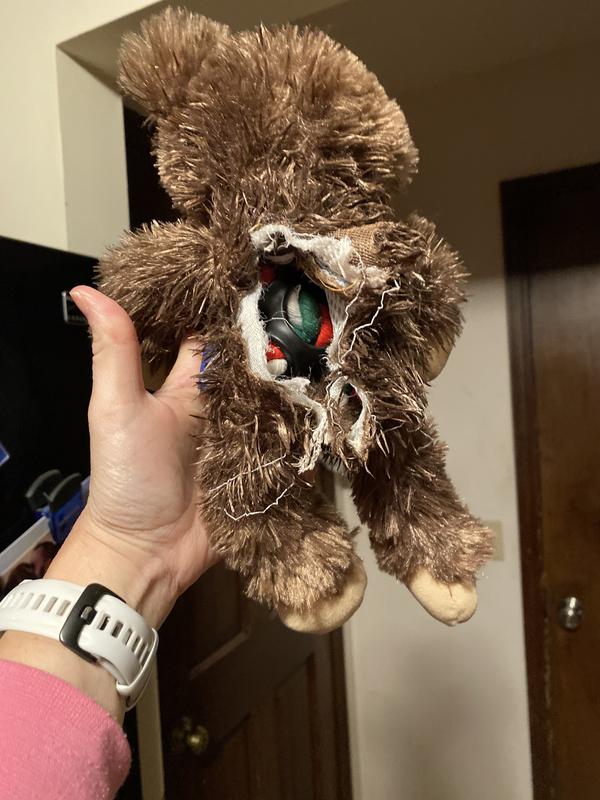 FRISCO Bear Plush with Inside Rope Squeaky Dog Toy, Medium - Chewy.com
