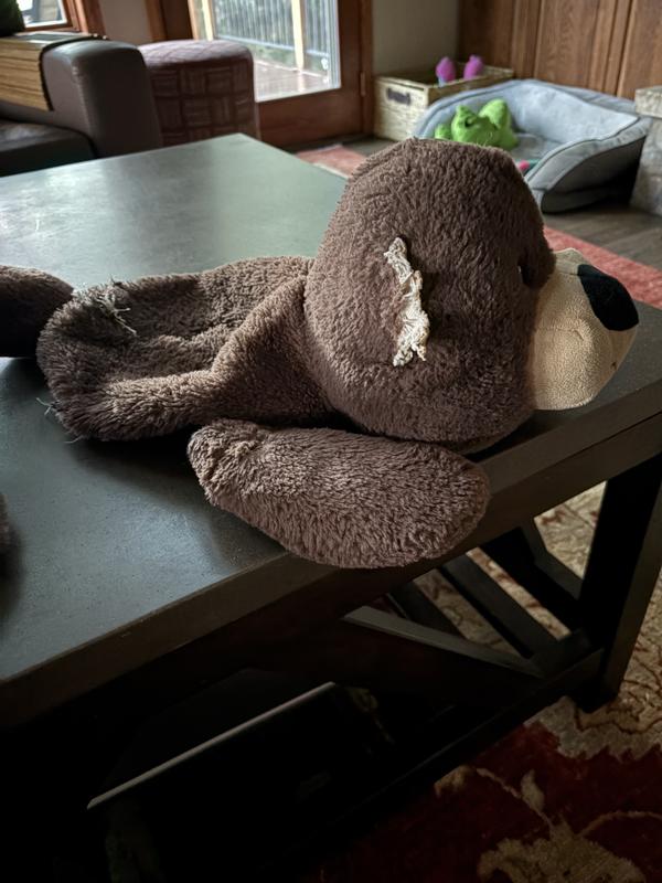 Delivered August 26, 2024