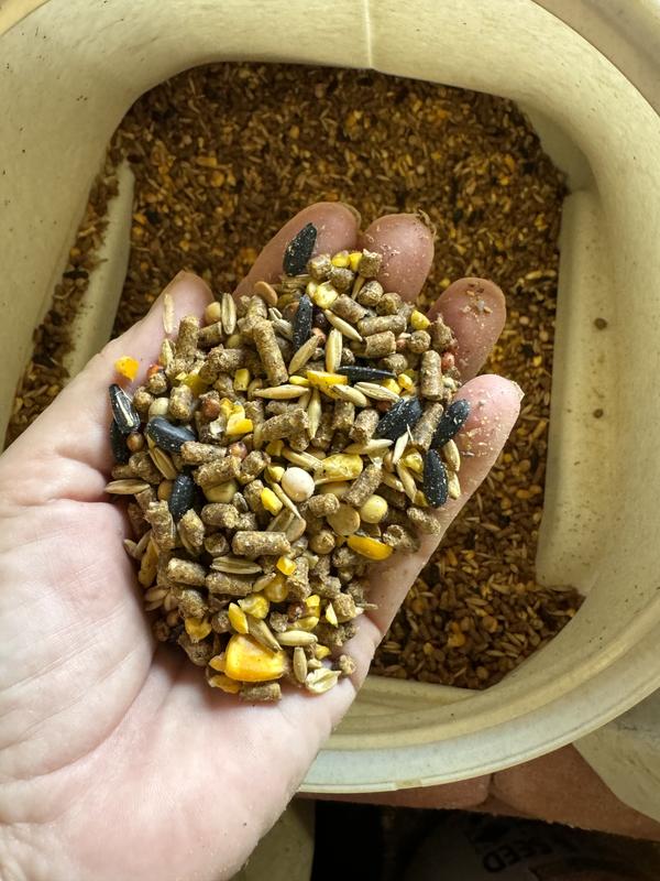 Pellets are large, corn not fully cracked