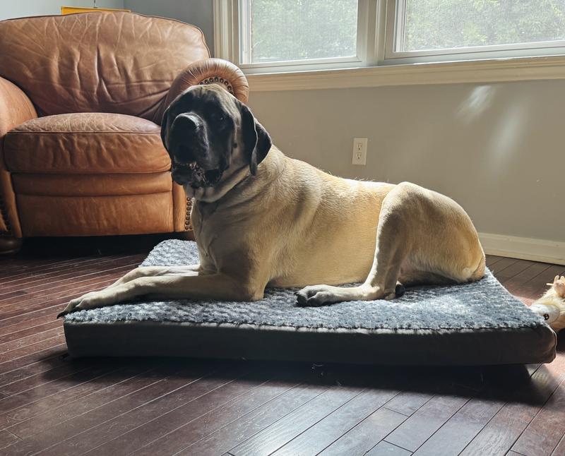 The mastiff for the win! Not sharing!