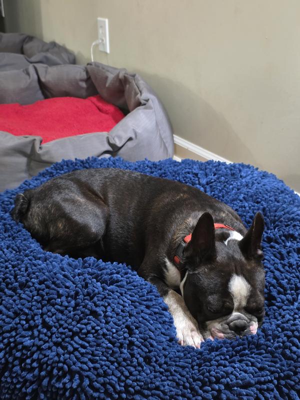 Bailey enjoying the new Muddy Mat bed!