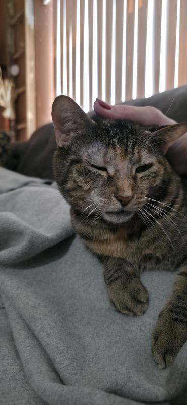 Jan. 30th, ½" whisker growth