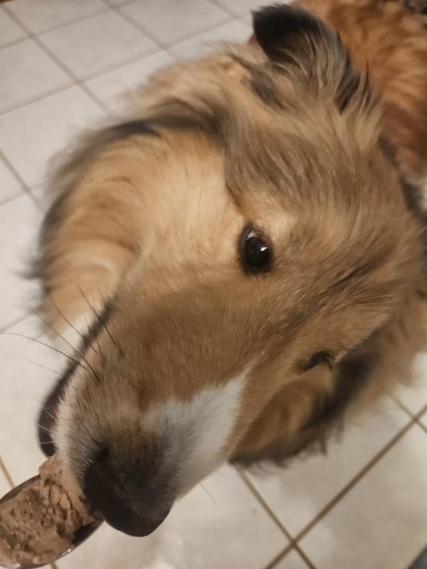 Sully doing a tasting