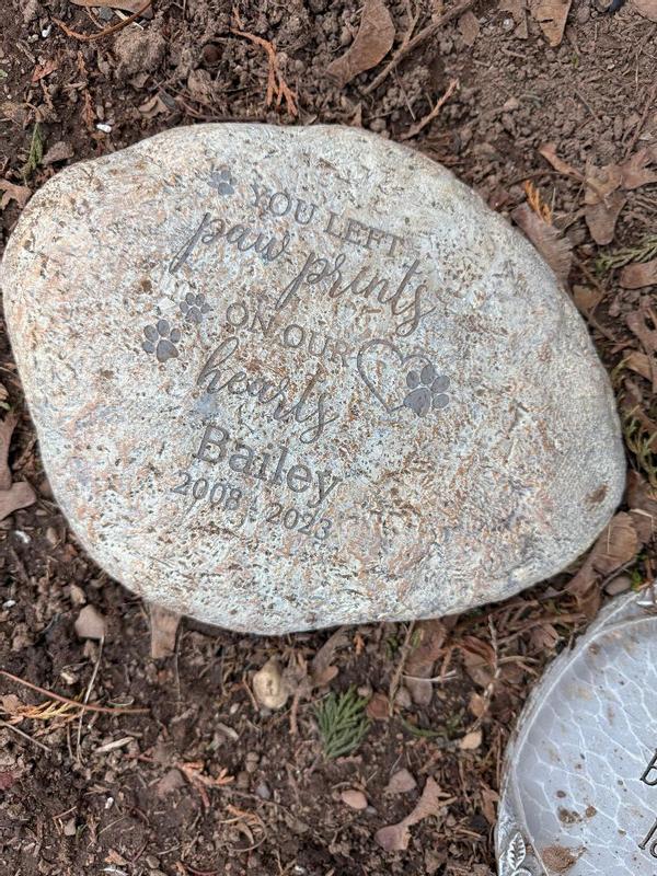 Hard to read the light writing