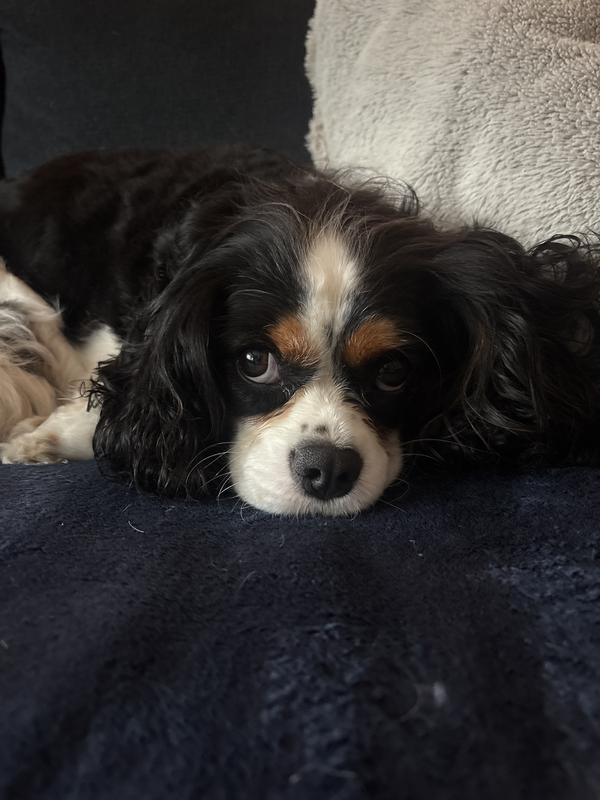 Never a bad hair day now!