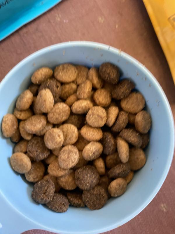 Mixed with her regular food