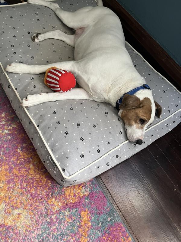 Mac with his popcorn toy
