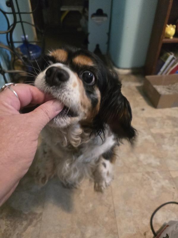 She loves the flavor.