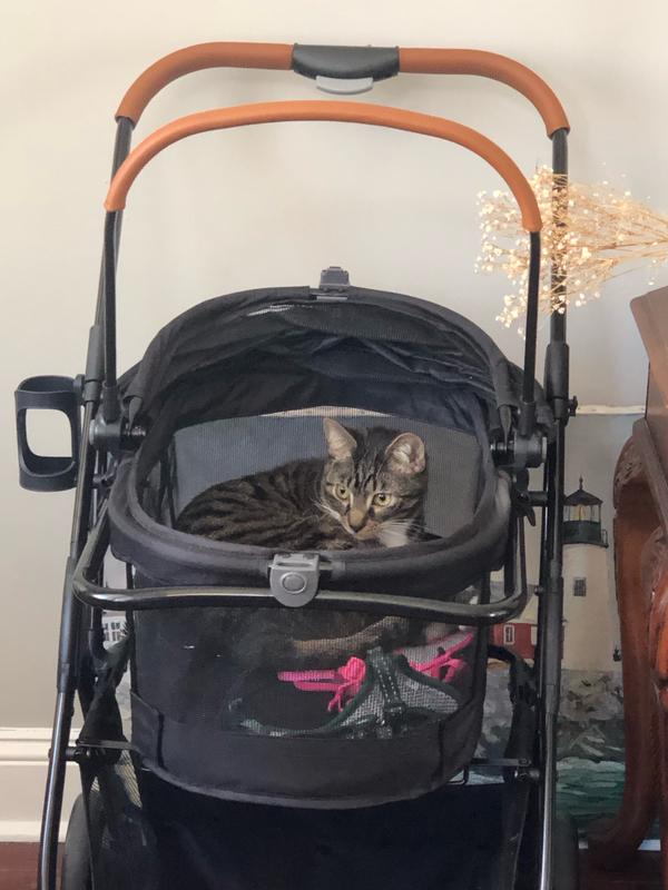 PET GEAR View 360 Travel System Dog & Cat Stroller, Pink Floral