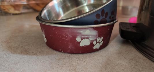 Loving Pets Bella Bowls Pet Bowl, Metallic Copper, Extra Large, On Sale