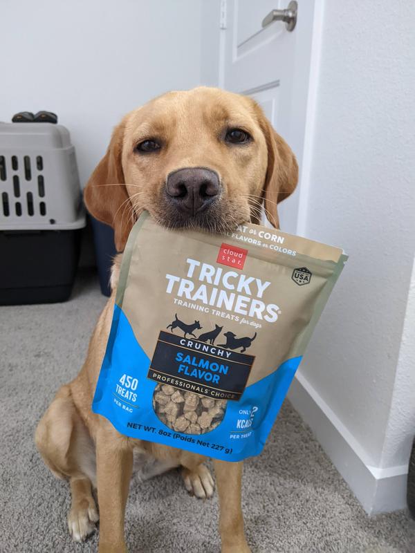 Cloud Star Tricky Trainers Salmon Flavor Crunchy Dog Treats, 8-oz bag