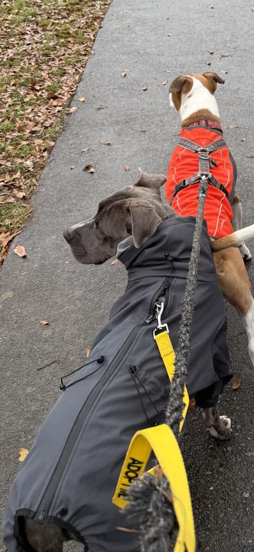 Frisco All Weather Bonded Dog Suit with Knit Snood