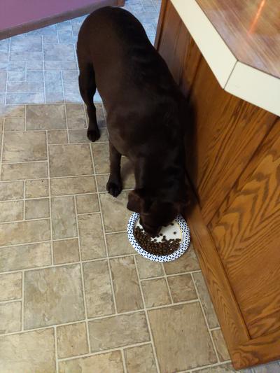 She loves it! Thank you, Victor!