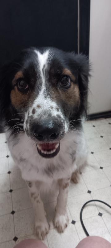 After bath before drying