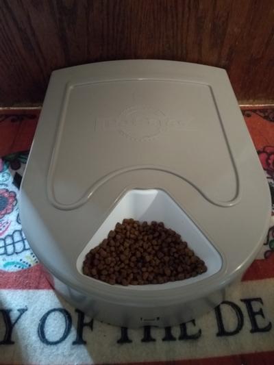 5 Meal Pet Feeder