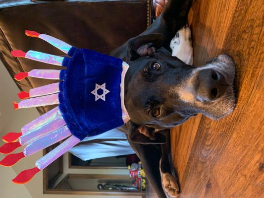 Hanukkah in July