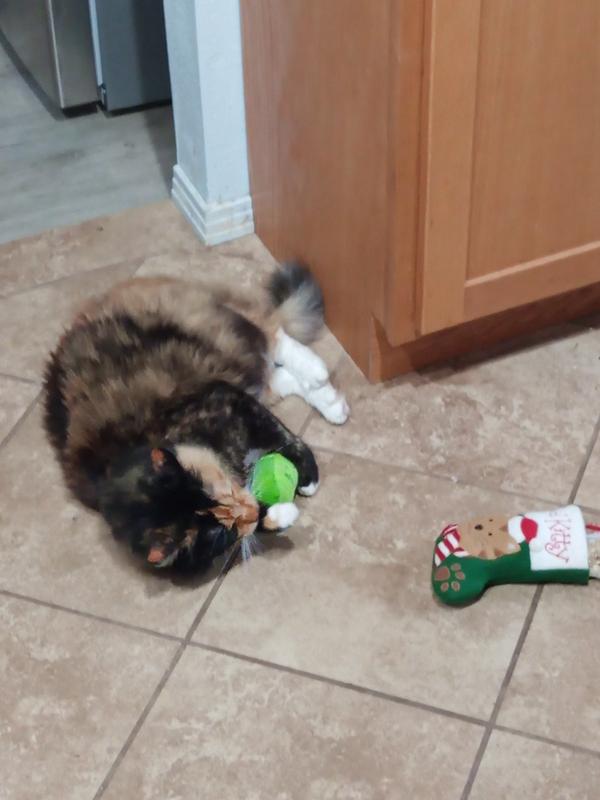 Calli with Christmas stocking stuffers