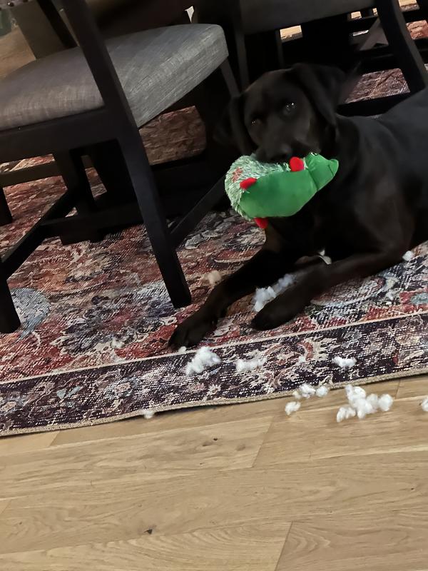 Destroyed in 10 Minutes