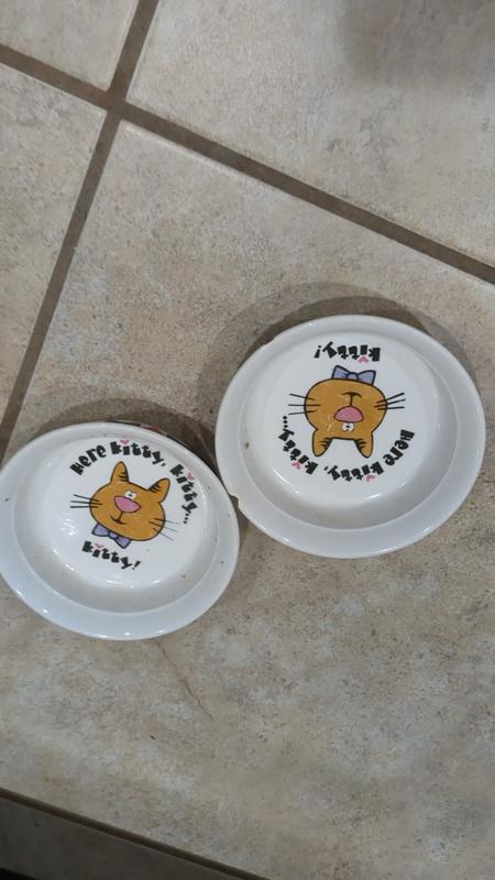 Member of the clean plate club