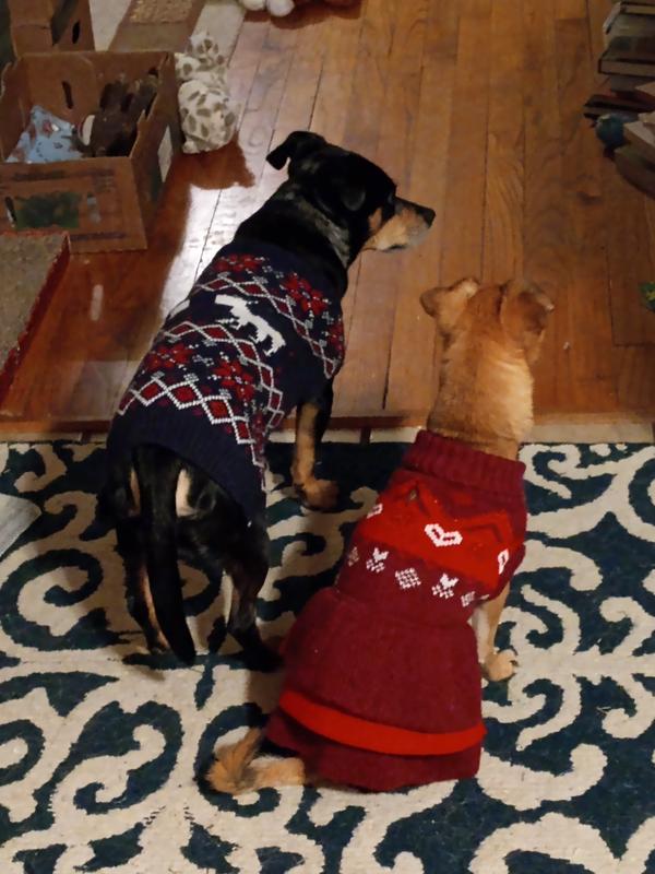 Lovely Sweaters!