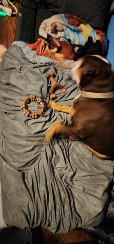 Maddy picking her favorite.