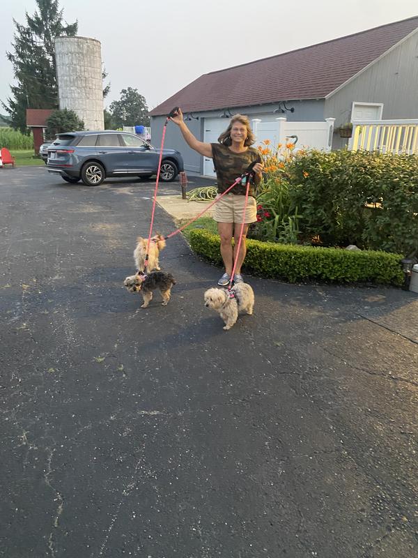 They are feeling better 🫶🏻🐾🐶❤️