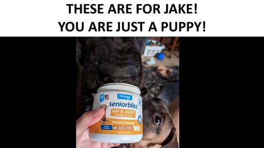 Jake wants one too!