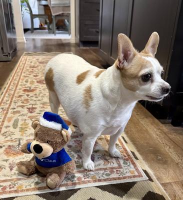 Flynn (to show him off) 😍