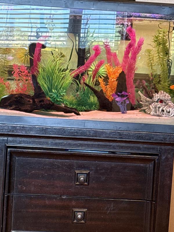 AA GKM3W Mini Interne UV-Klärer – Für Aquarien Bis 76 Liter (20 Gallonen)
