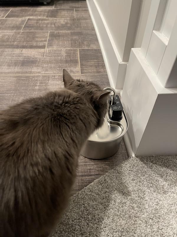 Loving the fountain!