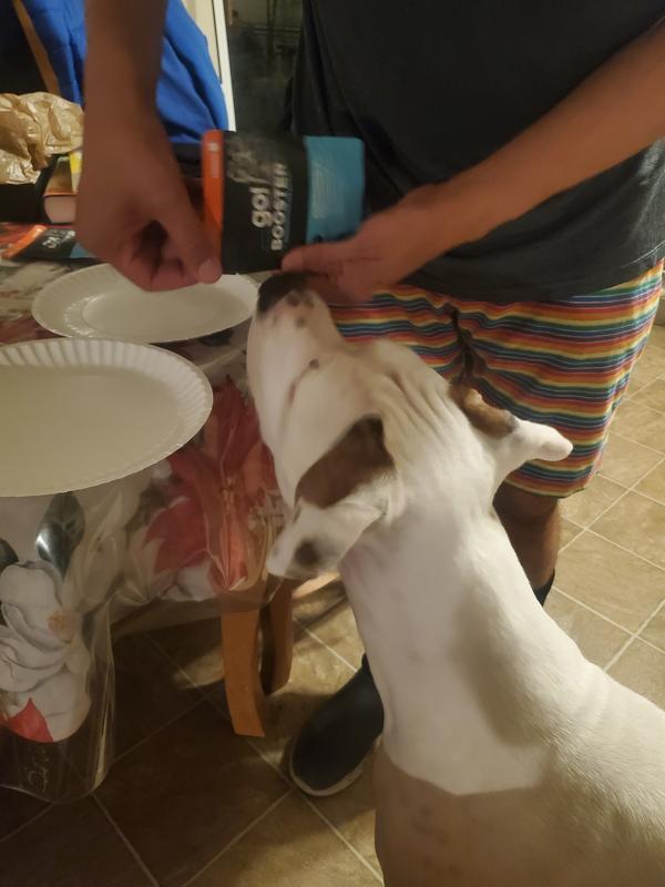 My dogs love this food!