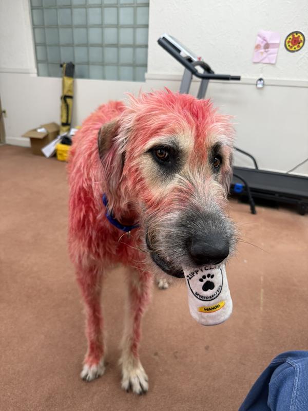 No laws with the claws