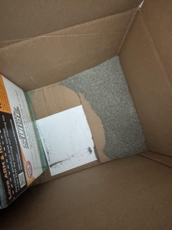 Lots of litter spilled out into the chewy box.